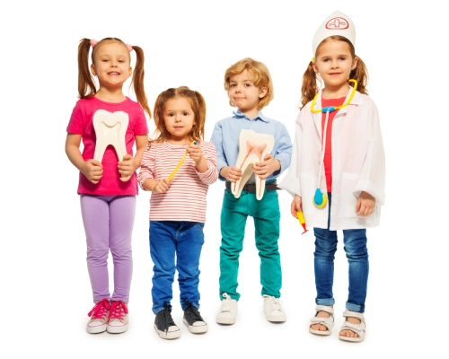 Baby Teeth Basics